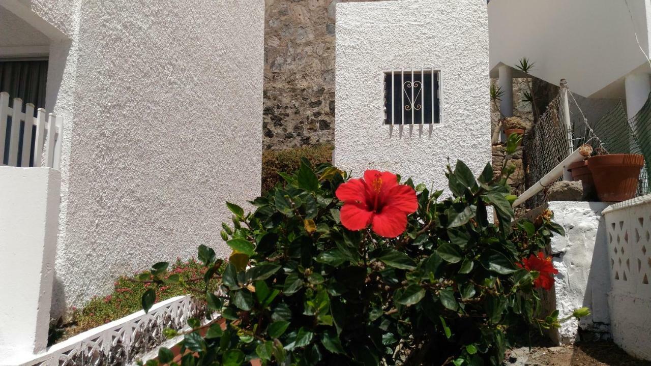 Bonaire Apartment Puerto Rico  Bagian luar foto
